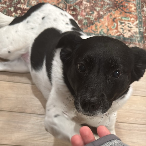 Meet your Posher, Mario - Picture 1 of 1